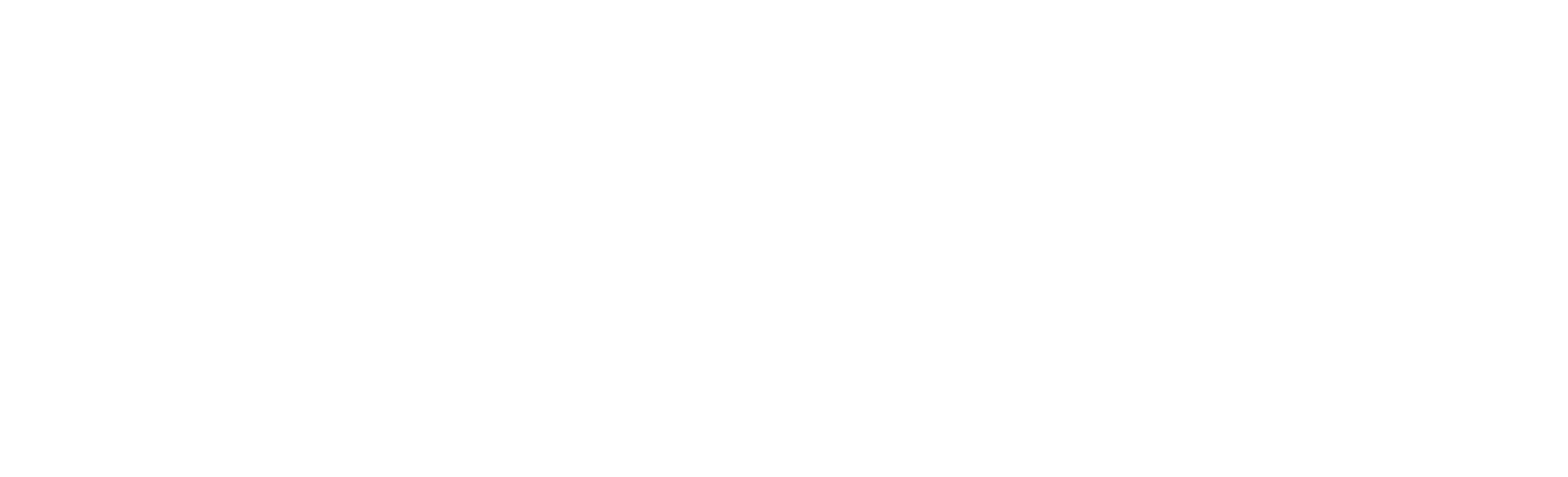 Enlite Home Logo